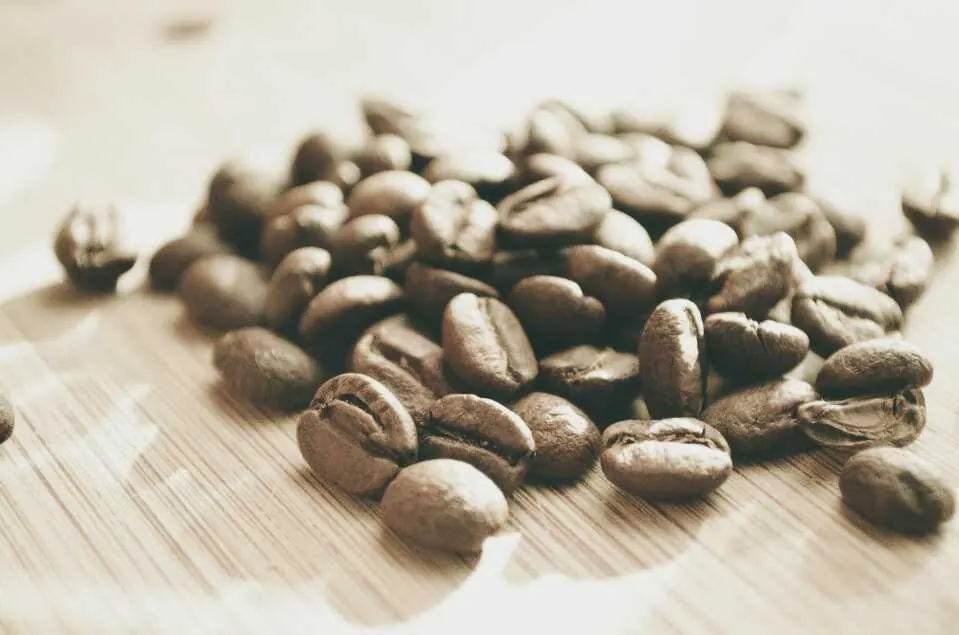 Roasted coffee beans scattered on a light surface